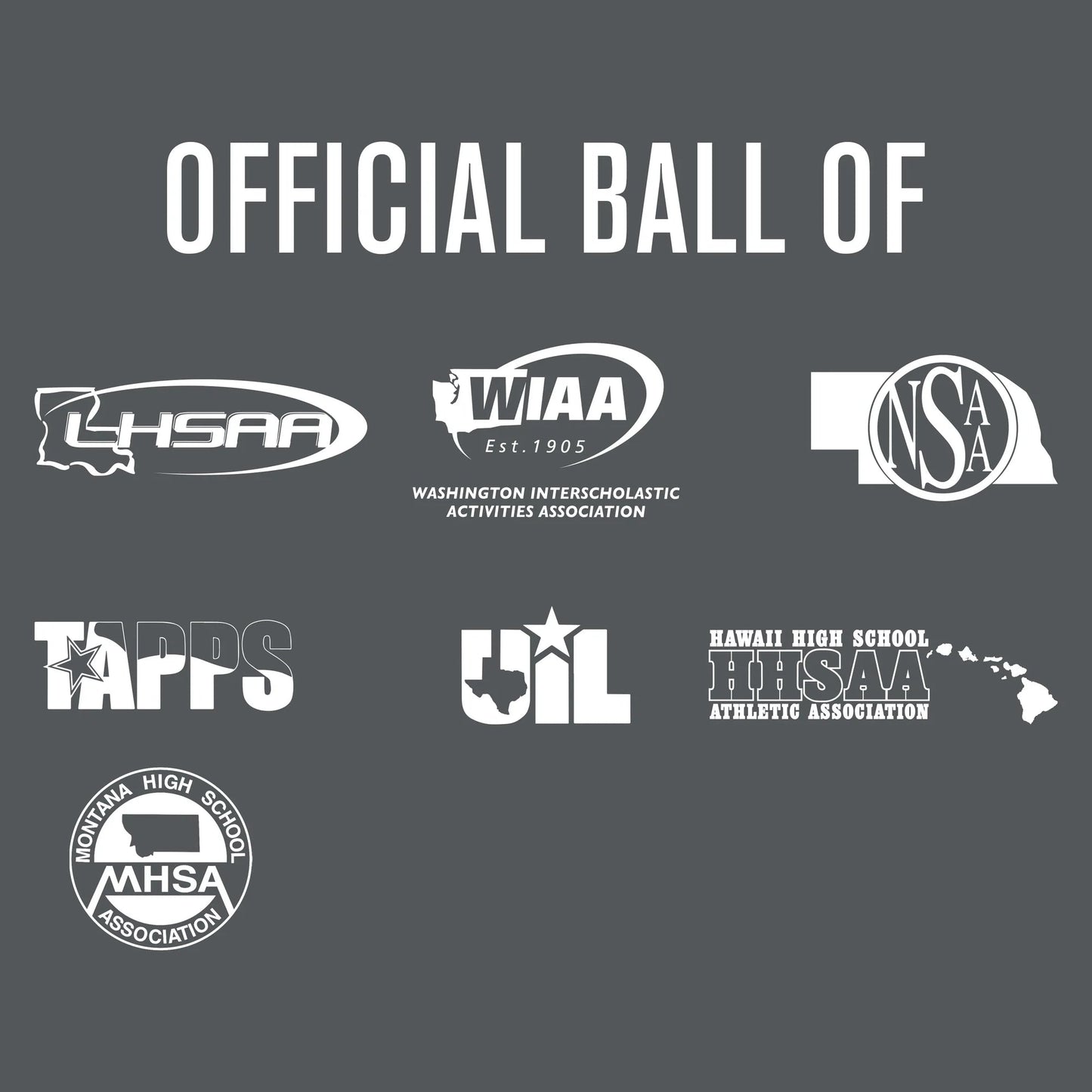 Baden Perfection Pro NFHS Baseballs (1 Dozen) Baden
