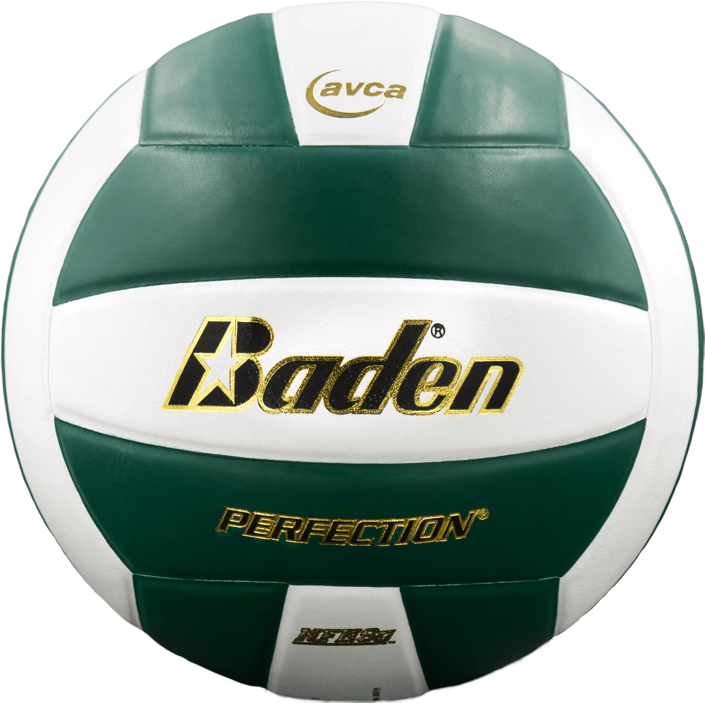 Baden Perfection Leather NFHS Volleyball All Colors - MCI SPORTS