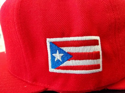 Puerto Rico Snapback Hats Peligro Sports