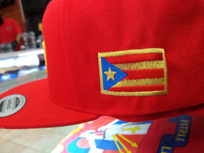 Puerto Rico Snapback Hats Peligro Sports