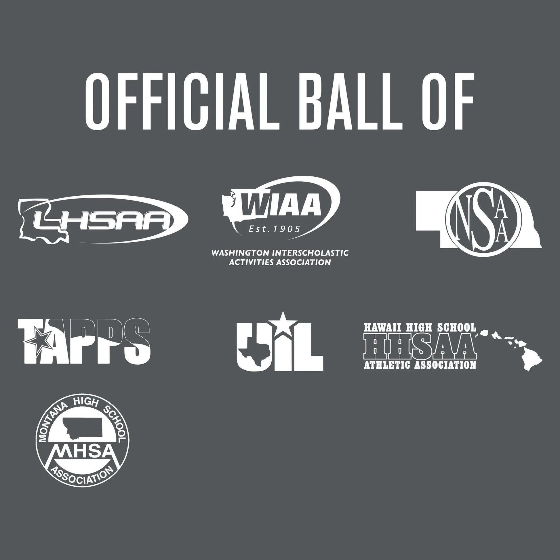 Baden Perfection Pro NFHS Baseballs (1 Dozen) Baden