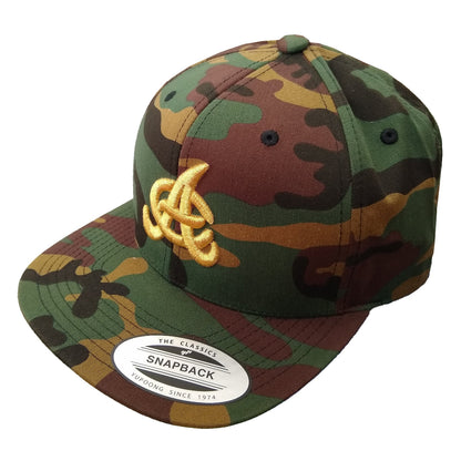 Aguilas Cibaeñas Embroidered SnapBack Camouflage Hat Peligro Sports