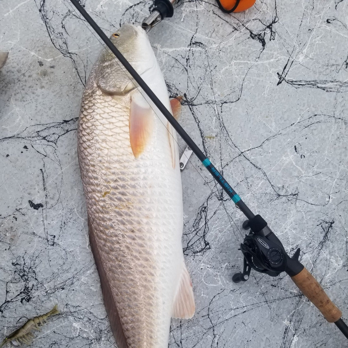 Salt Series Fishing Rods KISTLER Fishing