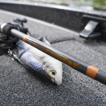 Big Country Fishing Rod KISTLER Fishing