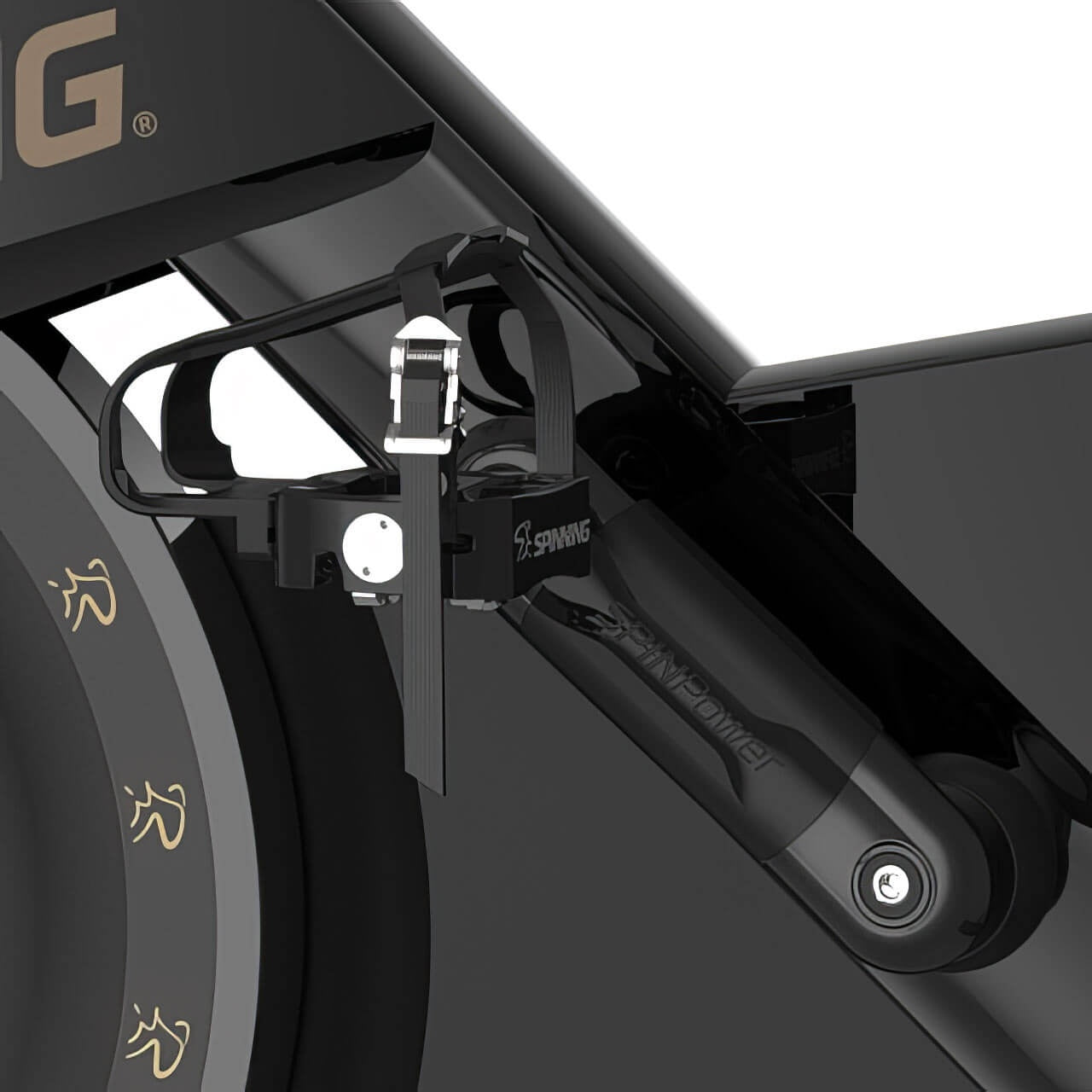 Chrono® Spinning