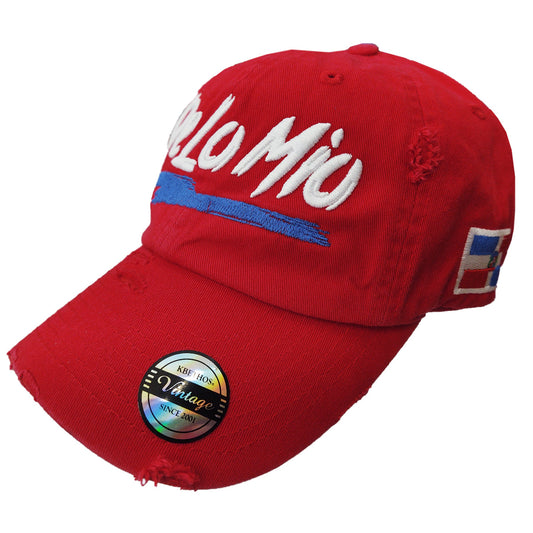 De lo mio embroidered  Logo Vintage Hat (Red / Full Color) Peligro Sports