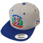 Escudo Republica Dominicana - Dominican Snapback Hat Peligro Sports