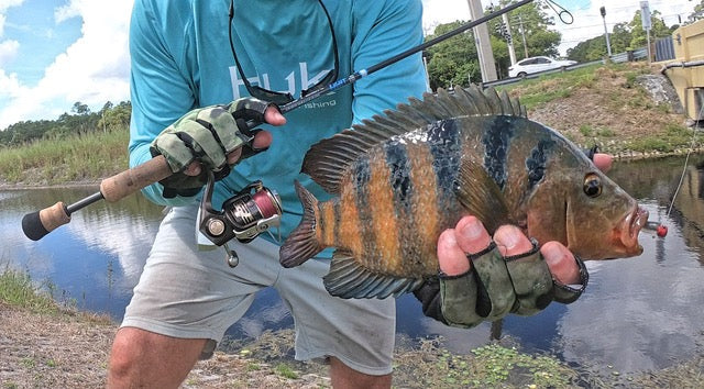 Ultra Light Fishing Rod KISTLER Fishing