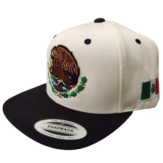 Mexico Snapback hats Embroidered Shield and flag Peligro Sports