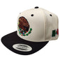 Mexico Snapback hats Embroidered Shield and flag Peligro Sports