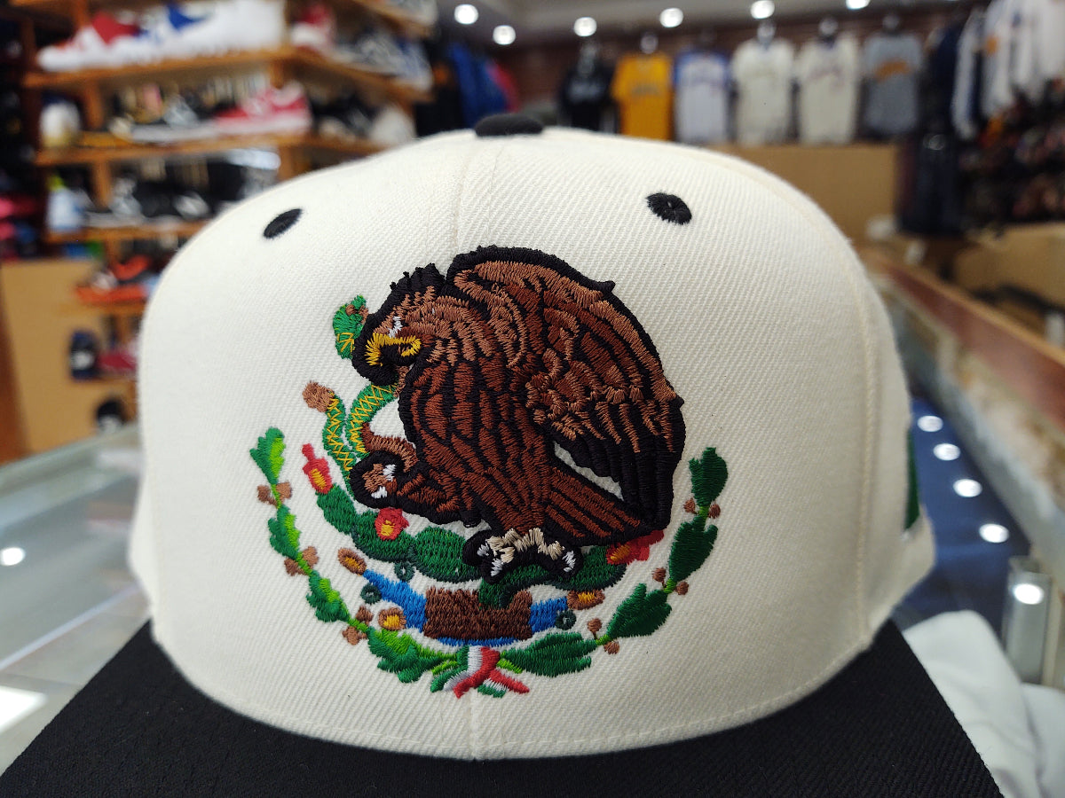 Mexico Snapback hats Embroidered Shield and flag Peligro Sports