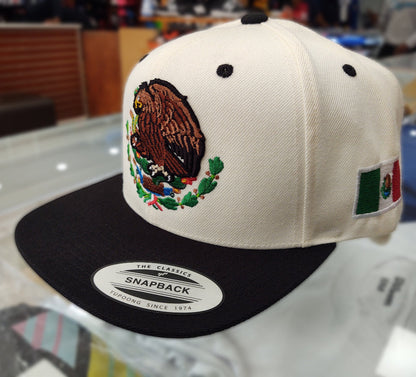 Mexico Snapback hats Embroidered Shield and flag Peligro Sports