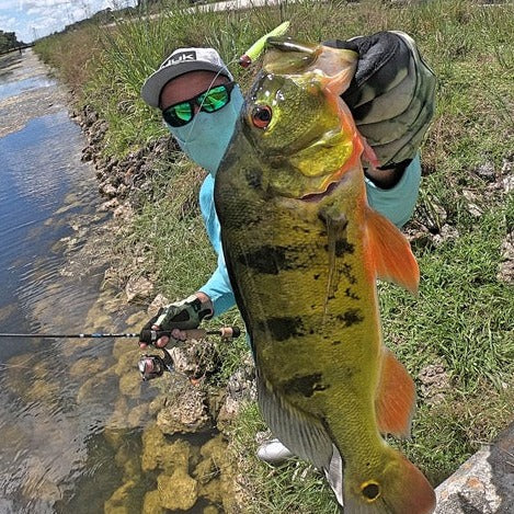 Ultra Light Fishing Rod KISTLER Fishing