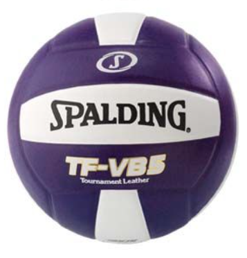 Spalding TF-VB5 Volleyball Purple/White Official Size NFHS Stamp - MCI SPORTS