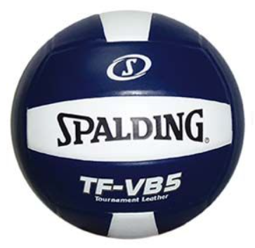Spalding TF-VB5 Navy/White Leather Volleyball - MCI SPORTS