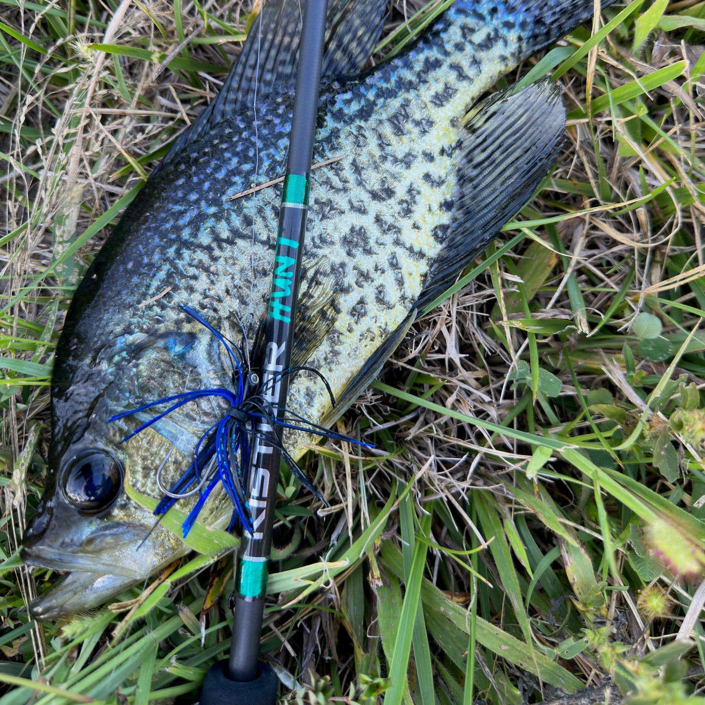 Hunt BFS Fishing Rods KISTLER Fishing