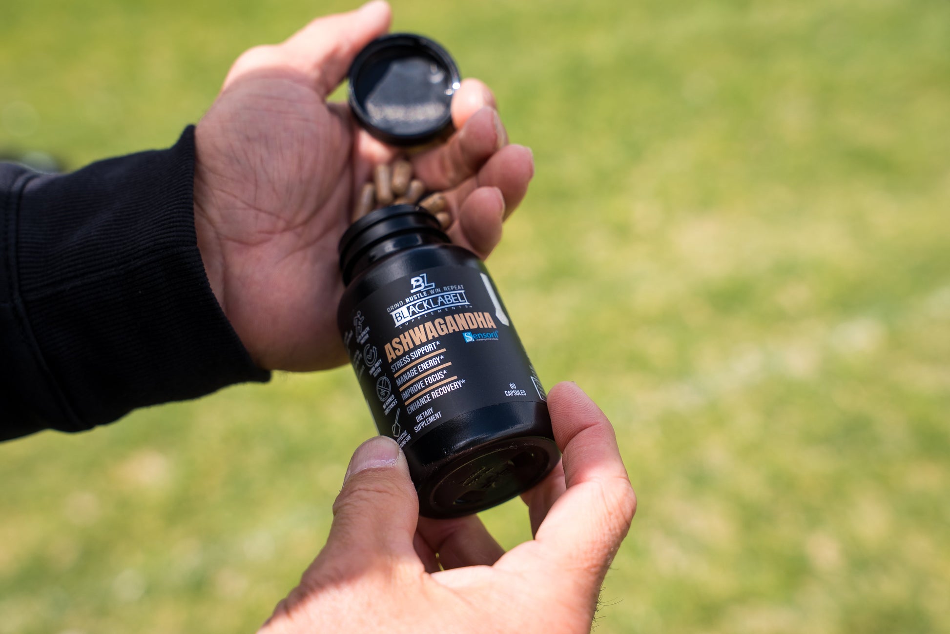 SENSORIL® ASHWAGANDHA BLACKLABEL Supplements
