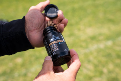 SENSORIL® ASHWAGANDHA BLACKLABEL Supplements